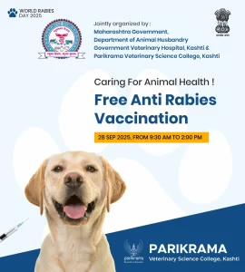 Free Anti Rabies Vaccination